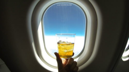 В России могут запретить проносить алкоголь из DUTY FREEна борт