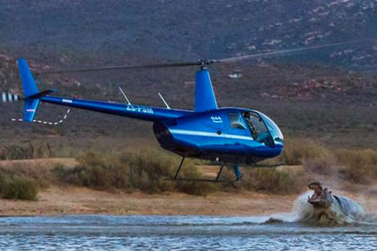 В ЮАР бегемот прыгнул на вертолет, который пролетал над водоемом на небольшой высоте