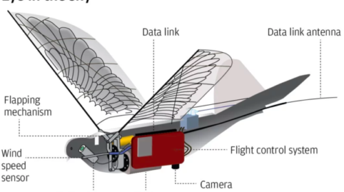Правительство Китая занимается разработкой дронов похожих на птиц