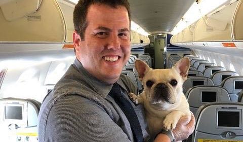Фотофакт. Бортпроводники спасли собаку которой стало плохо в самолете.
