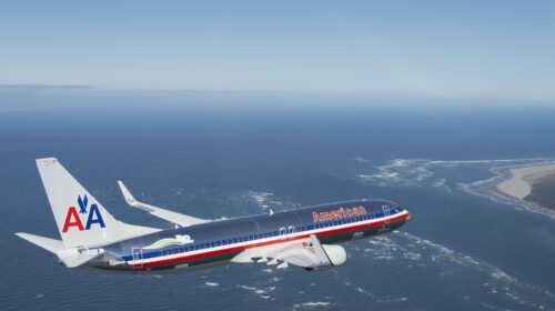 Стая птиц «развернула» лайнер компании American Airlines