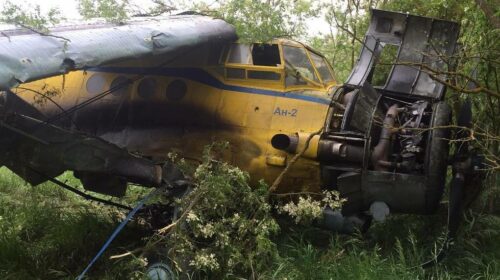 В Ставрополе Ан-2 не смог набрать высоту и врезался в дерево