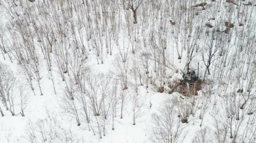 МАК начал расследование причин крушения вертолета на Камчатке