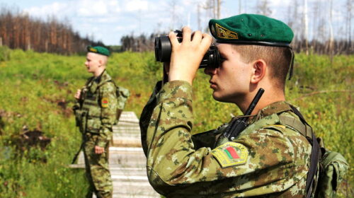 В Госпогранкомитете Беларуси заявили о сбитии украинского беспилотника на Гомельском направлении