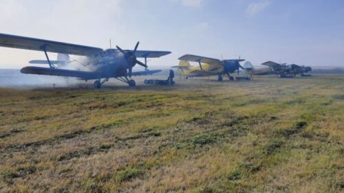 В Беларуси с самолётов начали разбрасывать вакцины-приманки в рамках сезонной иммунизации диких животных против бешенства