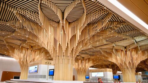 Аэропорт из бамбука: в Индии открылся экотерминал будущего Аэропорт из бамбука: в Индии открылся экотерминал будущего