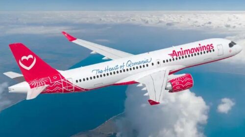 Румынская Animawings оставляет A220 на земле и уходит в реструктуризацию